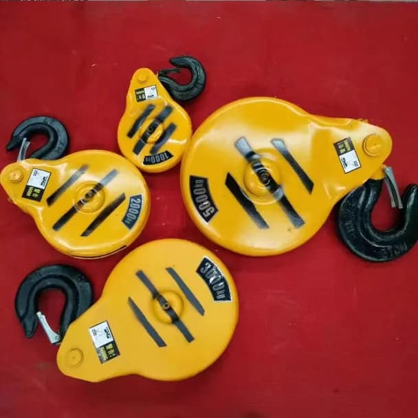 Móc cẩu Palang phổ thông 10T
